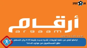 أرامكو تعلن عن دفعة توزيعات نقدية جديدة بقيمة 0.33 ريال للسهم.. كم حقق المستثمرون من عوائد الأداء؟